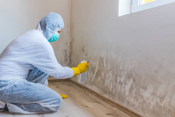 Licensed Crawl Space Mold Removal service in Simpson, PA - WQB Mold Removal
