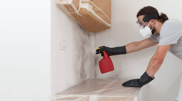 Professional Crawl Space Mold Removal technician working in Simpson, PA