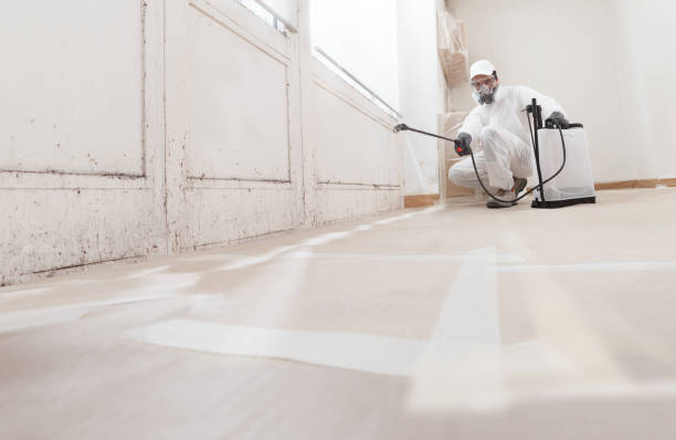 24/7 Emergency Crawl Space Mold Removal experts in Simpson, PA