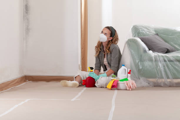 Reliable Crawl Space Mold Removal contractor in Simpson, PA by WQB Mold Removal