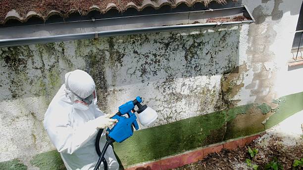 Top rated local Crawl Space Mold Removal specialists in Simpson, PA